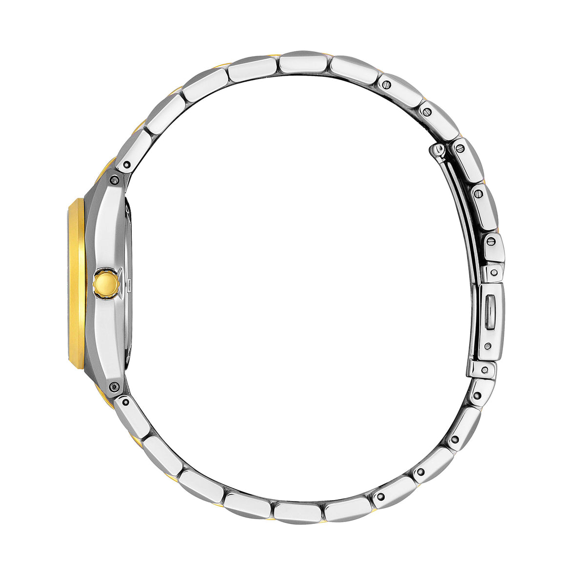 Citizen Ladies Eco-Drive Watch