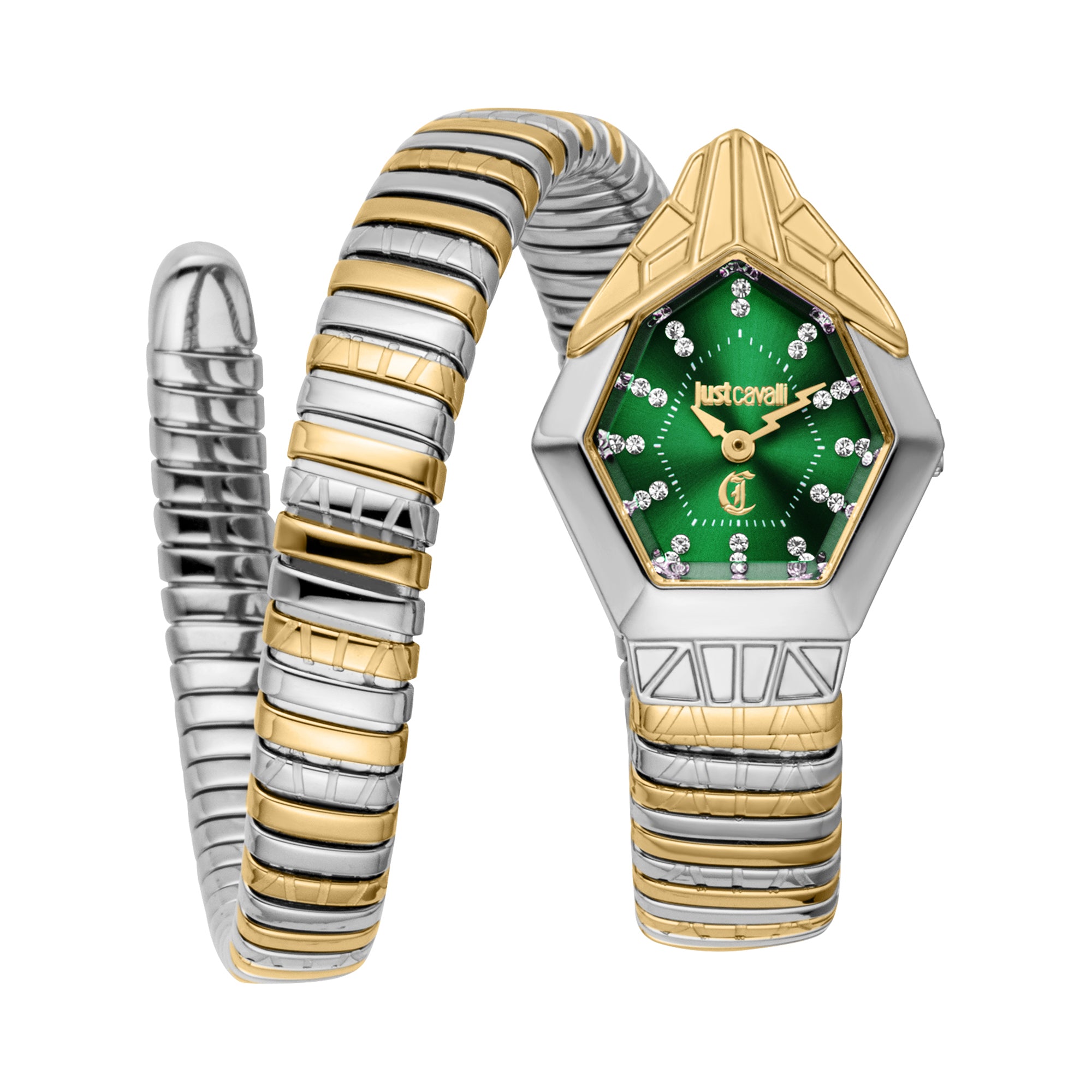Just Cavalli Women's Signature Snake Quartz Watch – The
