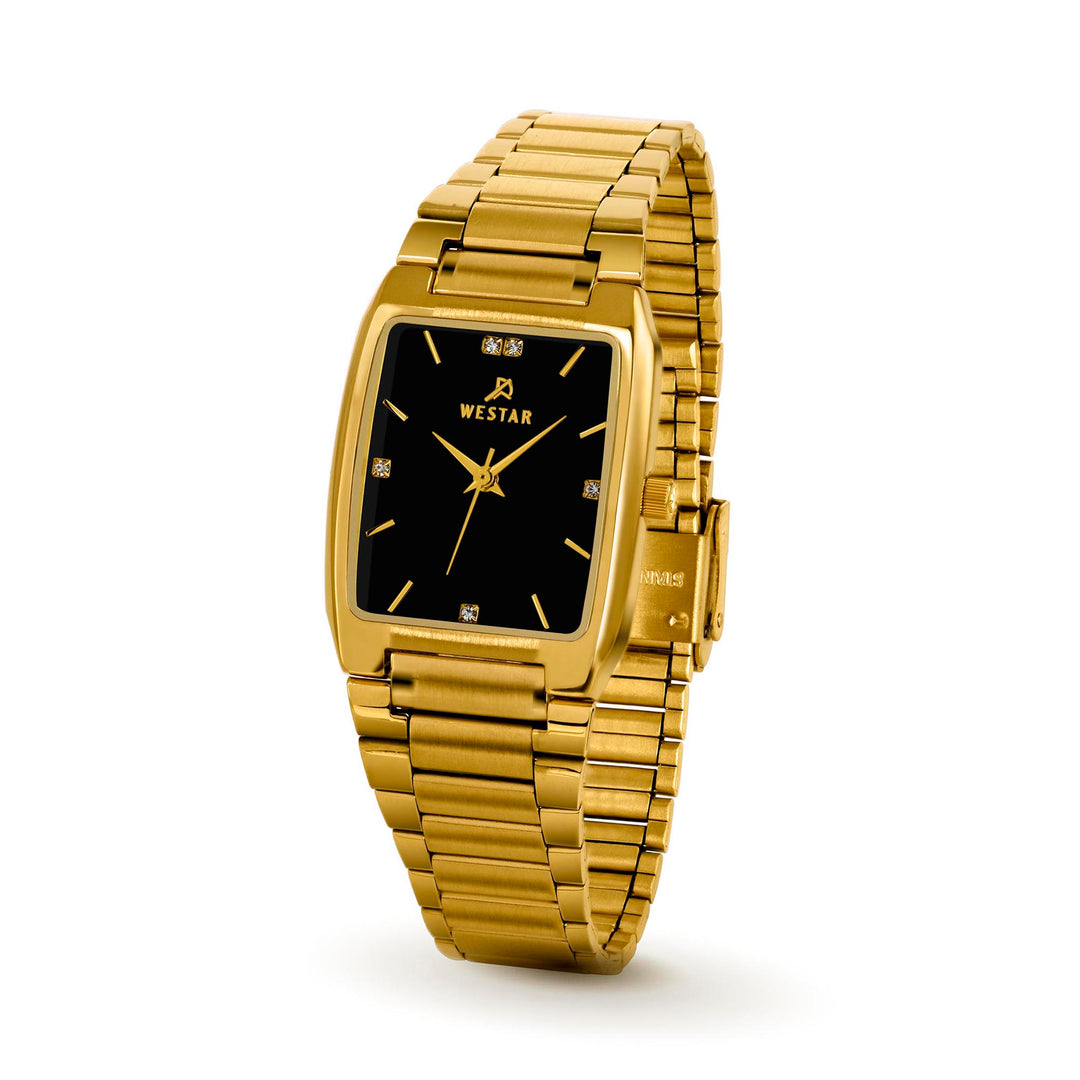 Westar Executive Unisex Watch - Black Dial - 7704GPN113
