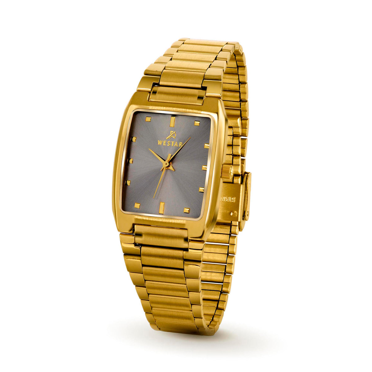 Westar Executive Unisex Watch - Grey Dial - 7704GPN806
