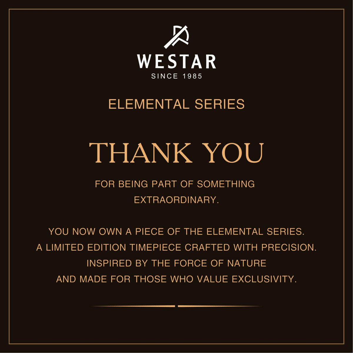 Westar Mens Automatic Elemental Series 42 MM Limited Edition