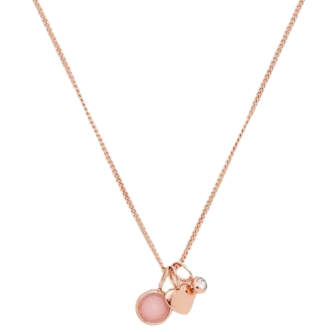 Fossil Vintage Motifs Stainless Steel Necklace - JF03046791