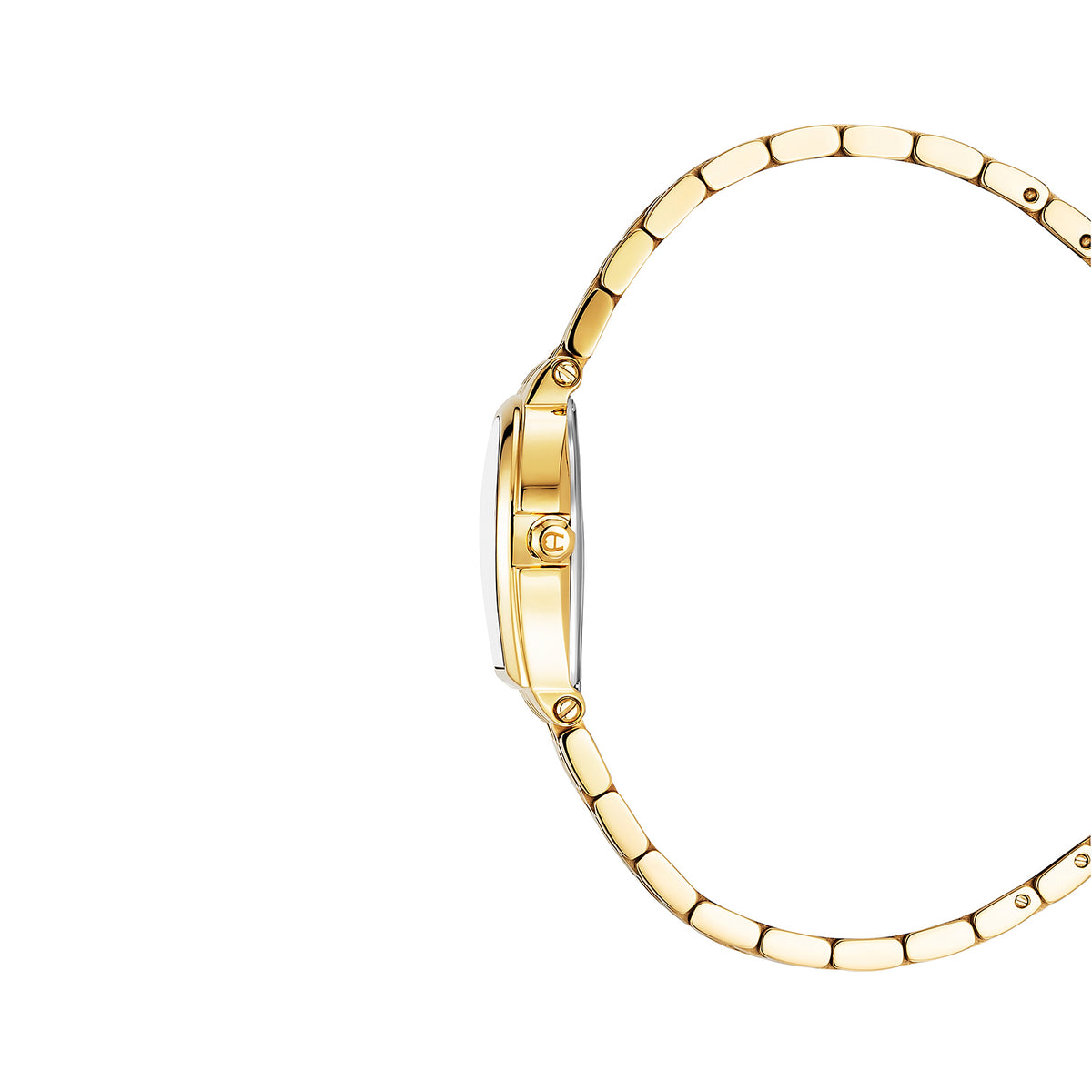 Aigner Women's Dogna 26x31mm Quartz Analog Watch AGW.270004