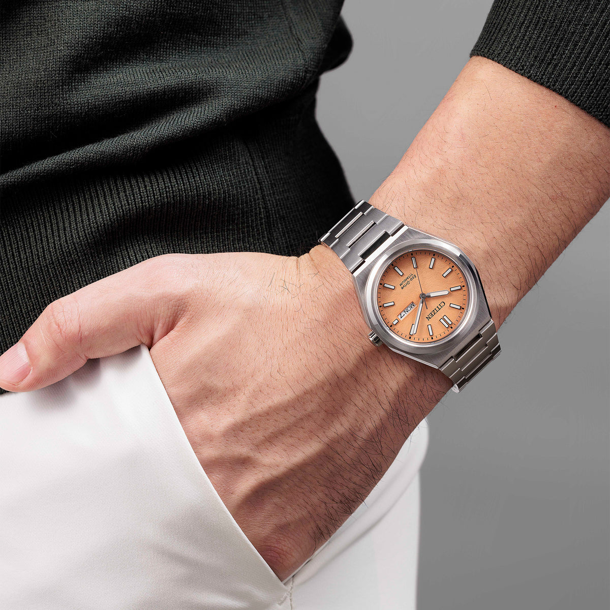 Citizen Gents Eco-Drive Zenshin Watch