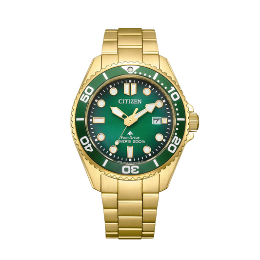 Citizen Gents Promaster Divers