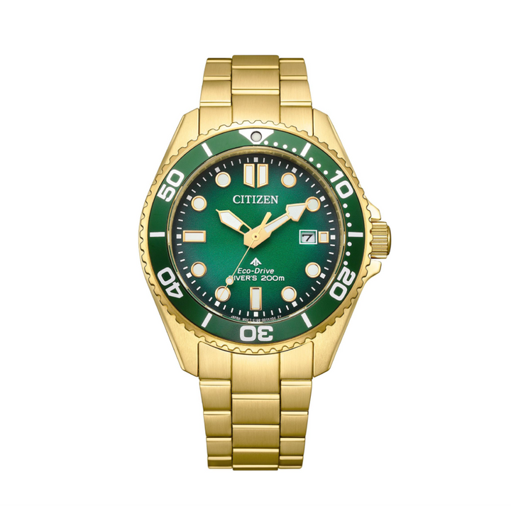 Citizen Gents Promaster Divers