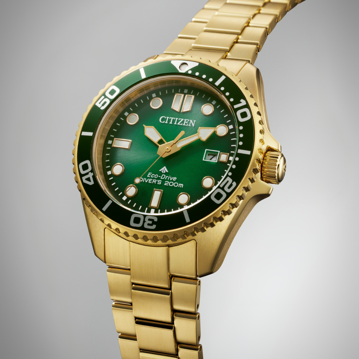 Citizen Gents Promaster Divers