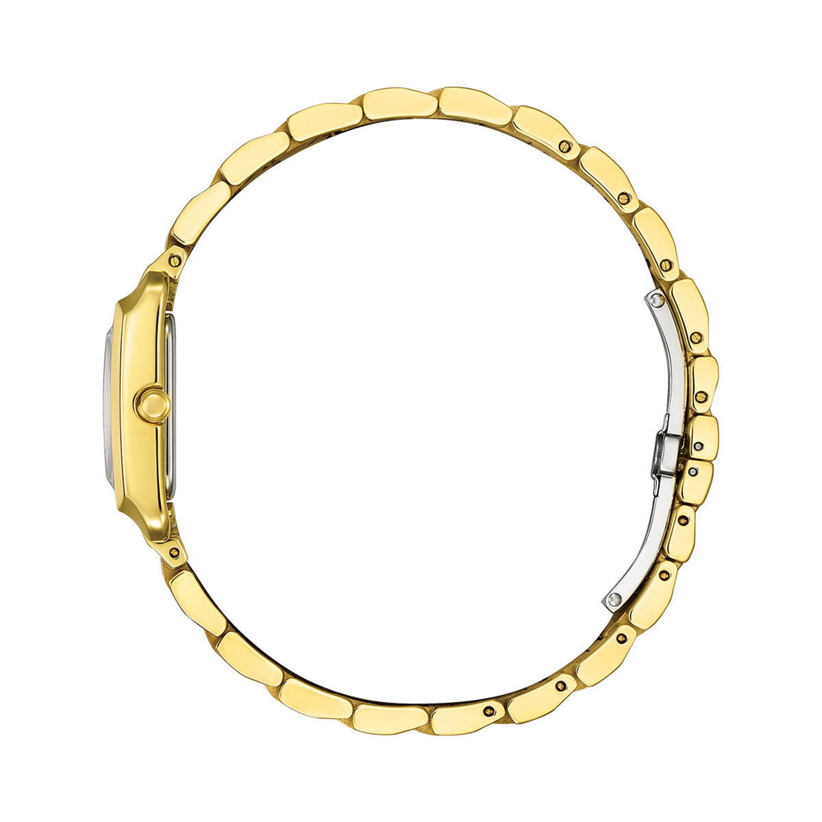 Citizen Ladies Eco-Drive L Watch