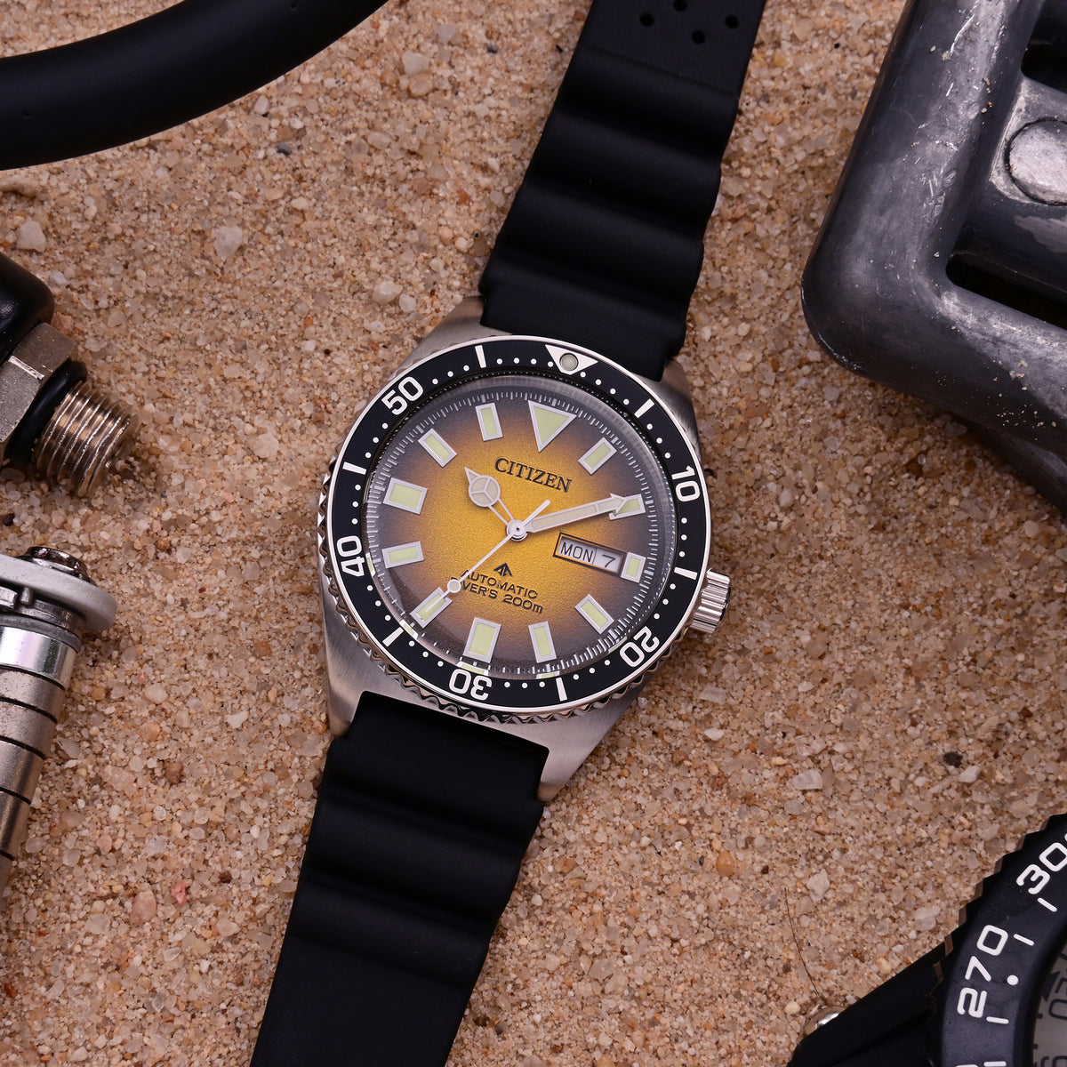 Citizen Promaster Marine Watch - NY0120-01X