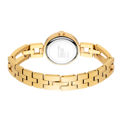 Esprit Women's 28mm Fashion Gold Color Dial Watch