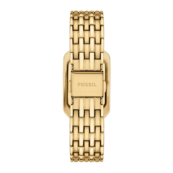 Fossil Women's Raquel 23mm Two-Hand Gold-Tone Stainless Steel Watch
