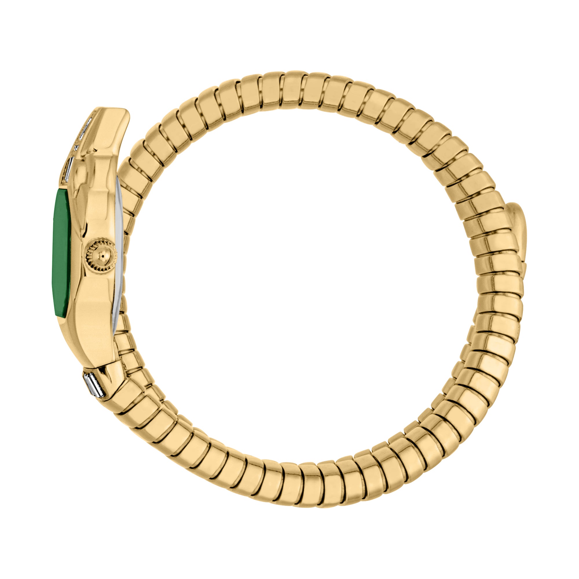 Just Cavalli Women's Signature Snake Quartz Watch – The Watch House