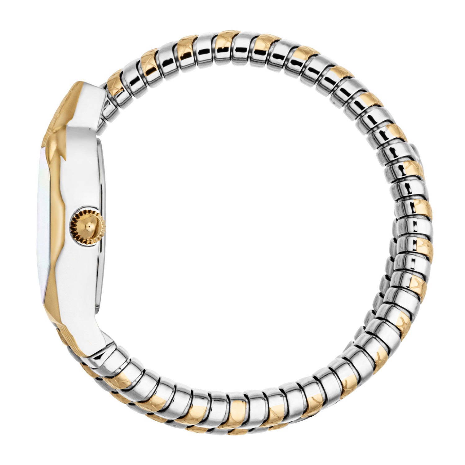 Just Cavalli Women's Signature Snake Quartz Watch – The Watch House