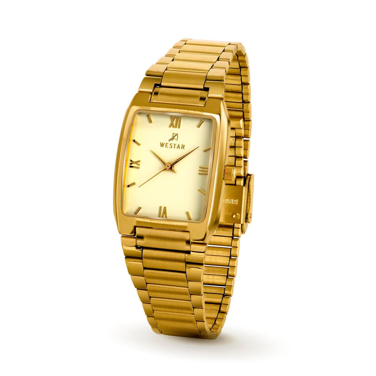 Westar Executive Unisex Watch - Light Champagne Dial  - 7704GPN602