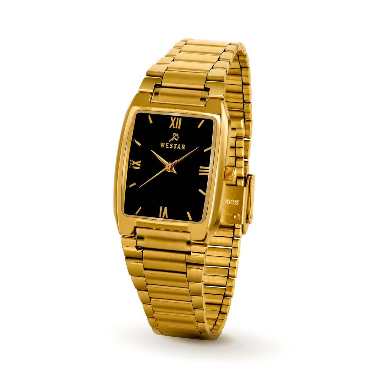 Westar Executive Unisex Watch - Black Dial  - 7704GPN603