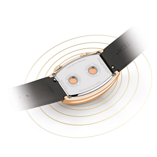 Philip Stein Signature Evolution Unisex Quartz Watch