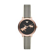 Emporio Armani Women's Modern Slim Fashion Quartz Watch