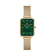 Daniel Wellington Women's Watch Gold Tone Case Quartz